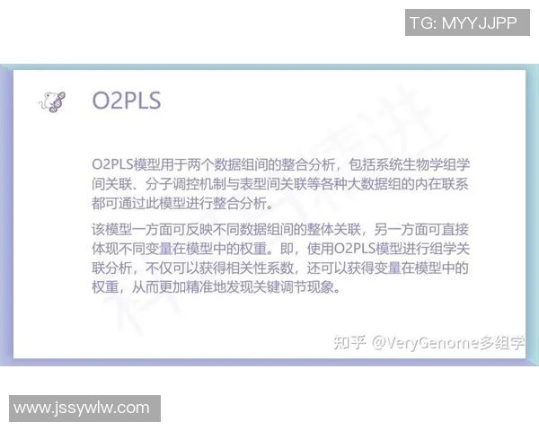 太阳神与仙台的精彩对决回放分析与战术解读